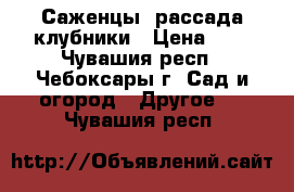 Саженцы, рассада клубники › Цена ­ 9 - Чувашия респ., Чебоксары г. Сад и огород » Другое   . Чувашия респ.